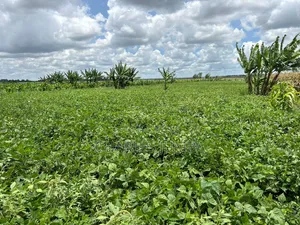 10 Acres With Borehole