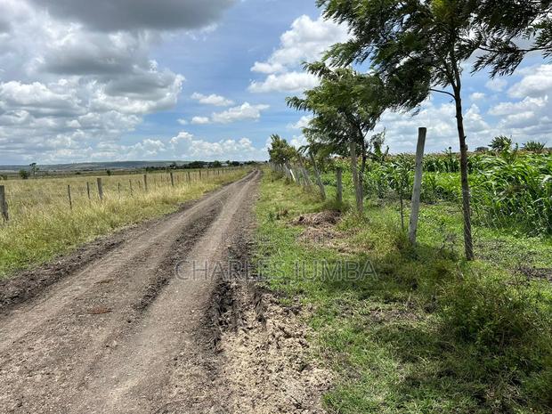 10 Acres With Borehole - thumbnail 4