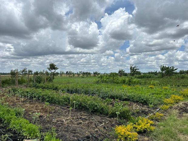 10 Acres With Borehole - thumbnail 5