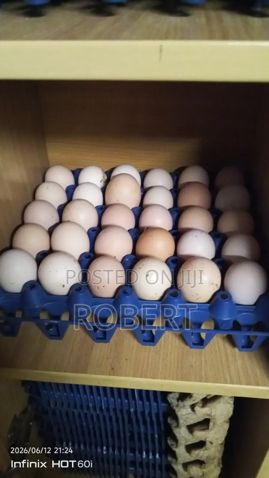 Fertilized Kenbro Eggs