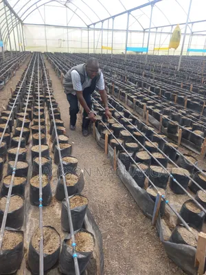 Drip Irrigation