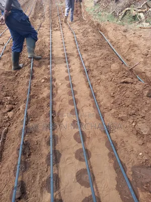 Drip Irrigation
