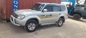 Toyota Land Cruiser 1999 Silver