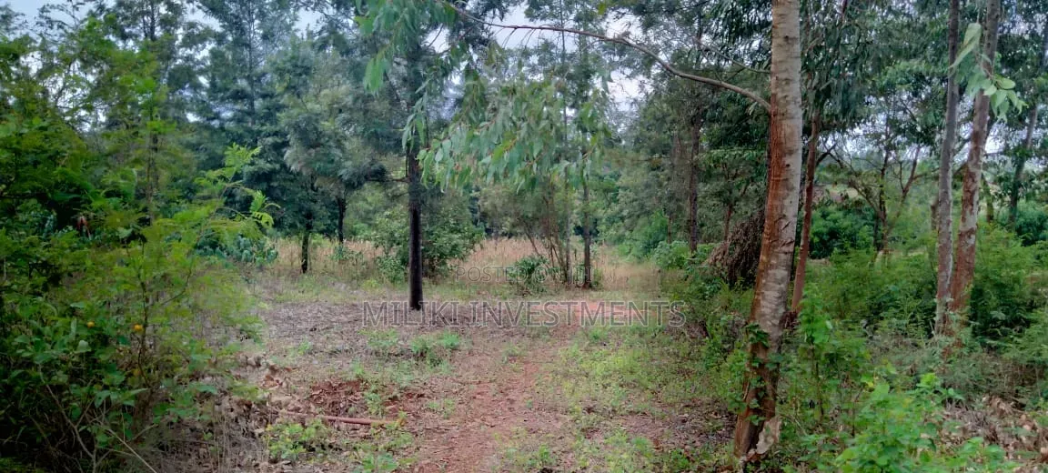One Acre on Sale at Kirinyaga -Kimbimbi