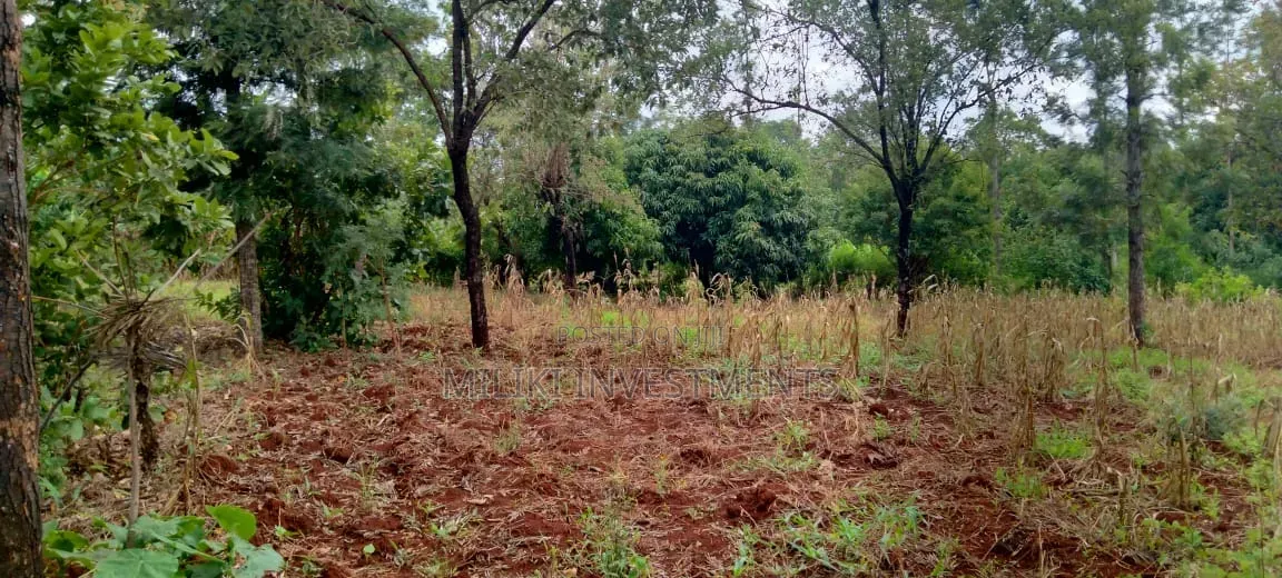 One Acre on Sale at Kirinyaga -Kimbimbi