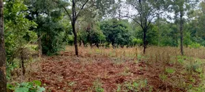 One Acre on Sale at Kirinyaga -Kimbimbi