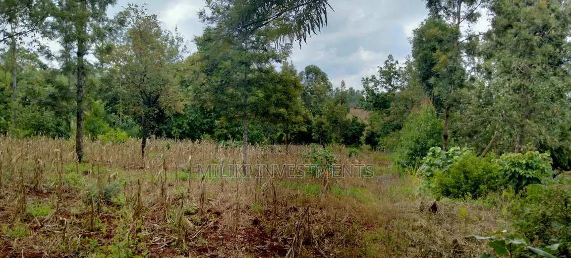 One Acre on Sale at Kirinyaga -Kimbimbi