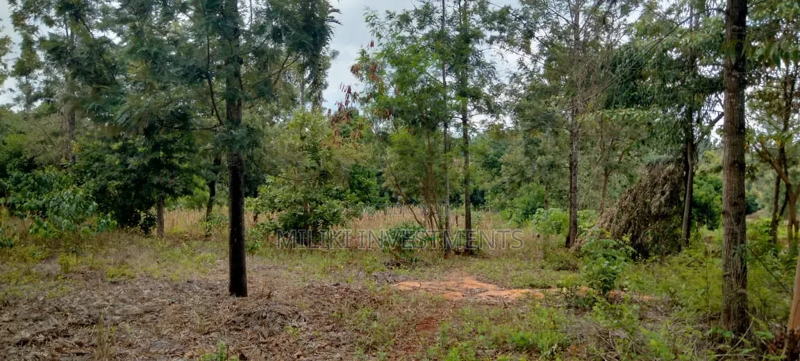 One Acre on Sale at Kirinyaga -Kimbimbi
