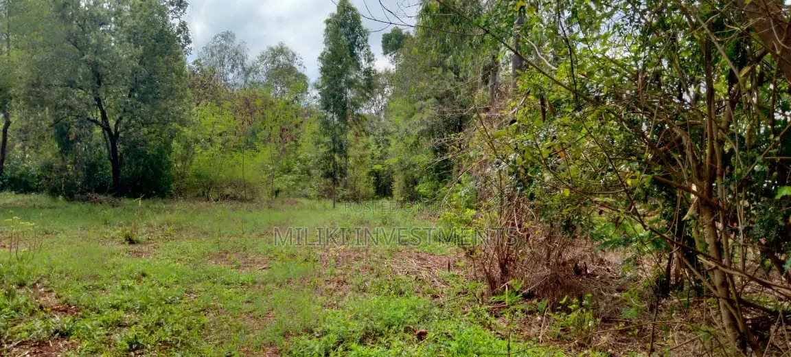 One Acre on Sale at Kirinyaga -Kimbimbi