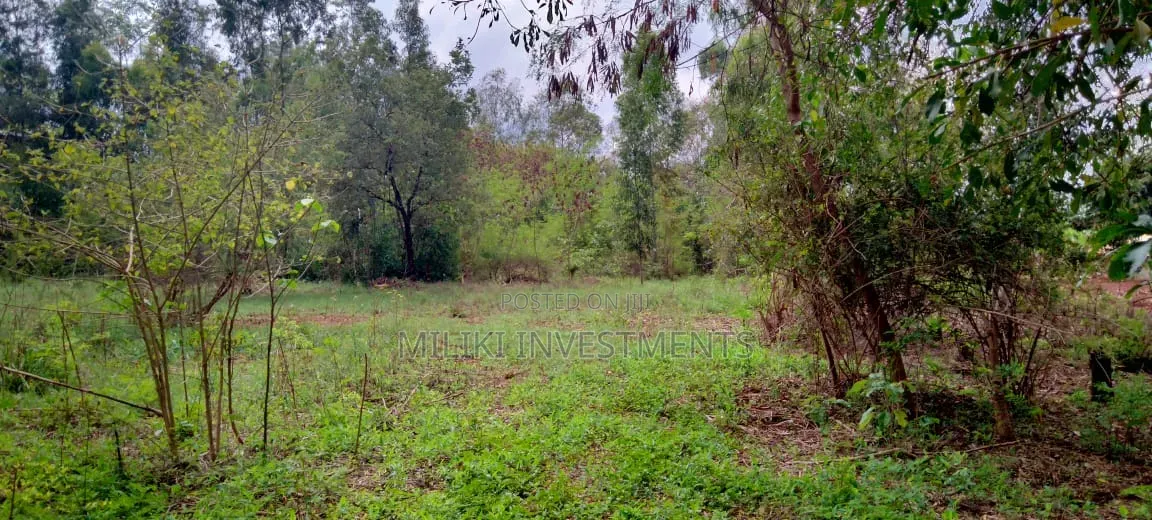 One Acre on Sale at Kirinyaga -Kimbimbi