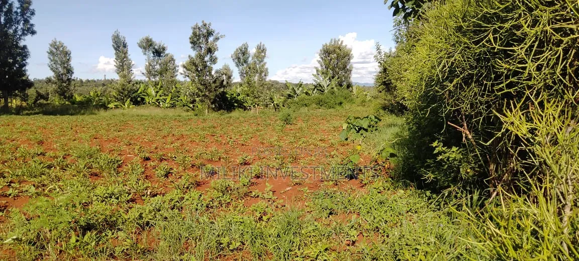 Half an Acre on Sale at Kirinyaga