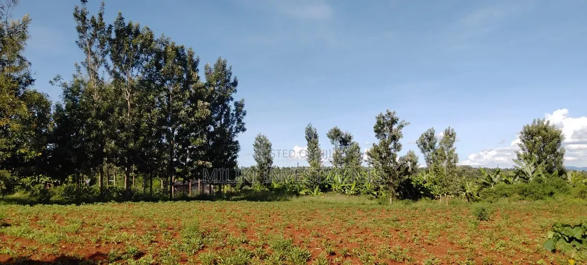 Half an Acre on Sale at Kirinyaga