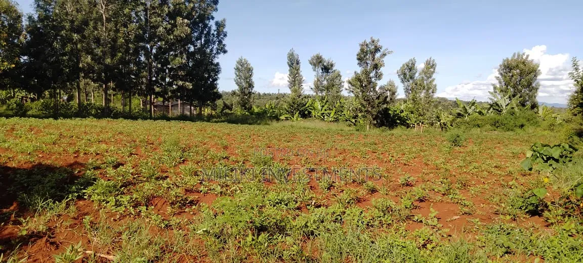 Half an Acre on Sale at Kirinyaga