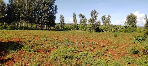 Half an Acre on Sale at Kirinyaga - thumbnail 3
