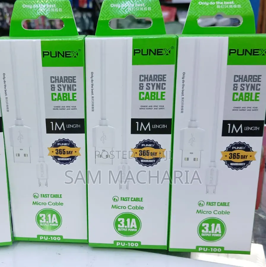 Punex Charger and Sync Cable