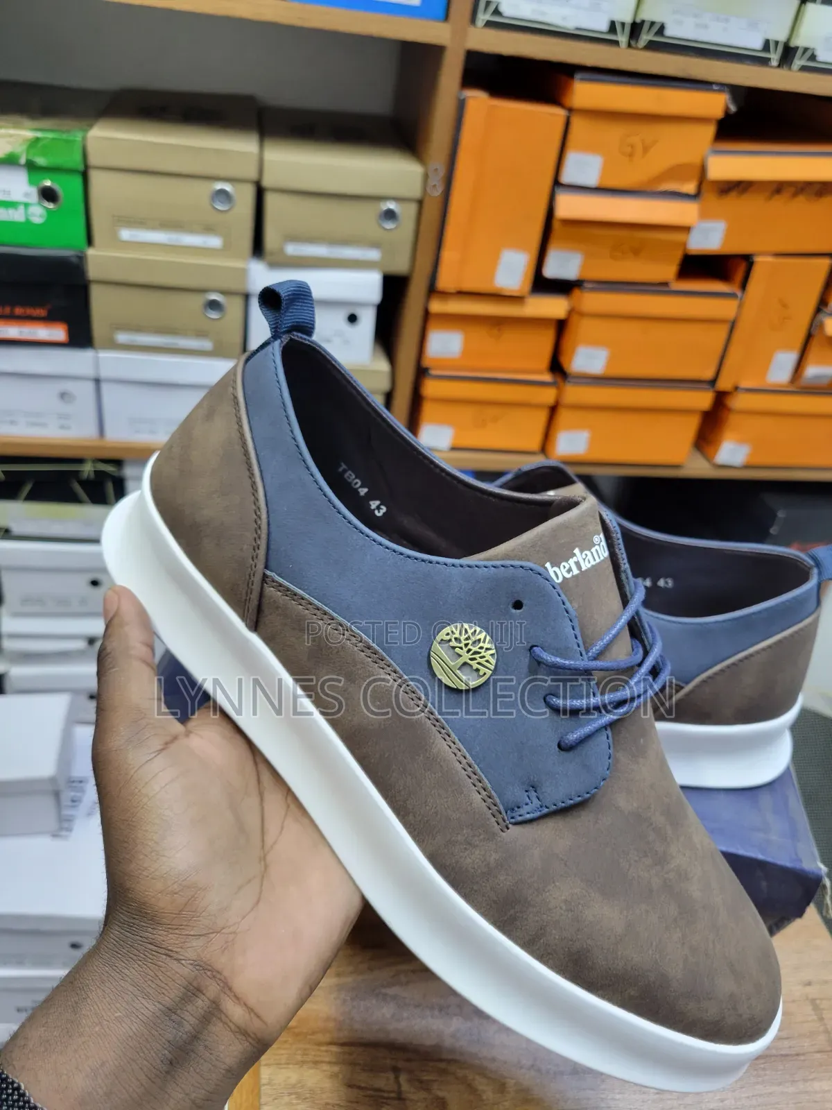 ★ Brown / Navy Blue Shoes | Premium Two-Tone Casual Footwear ✓