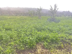 Plot for Sale Next to Brooks Lodge