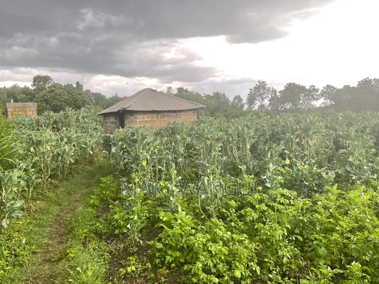 Plot for Sale Next to Brooks Lodge