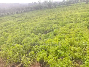 Plot for Sale Next to Brooks Lodge