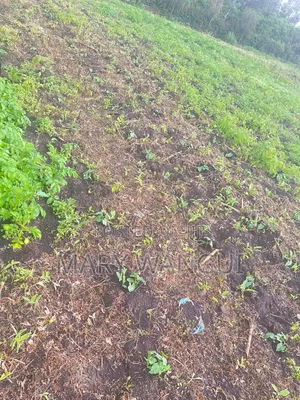 Plot for Sale Next to Brooks Lodge
