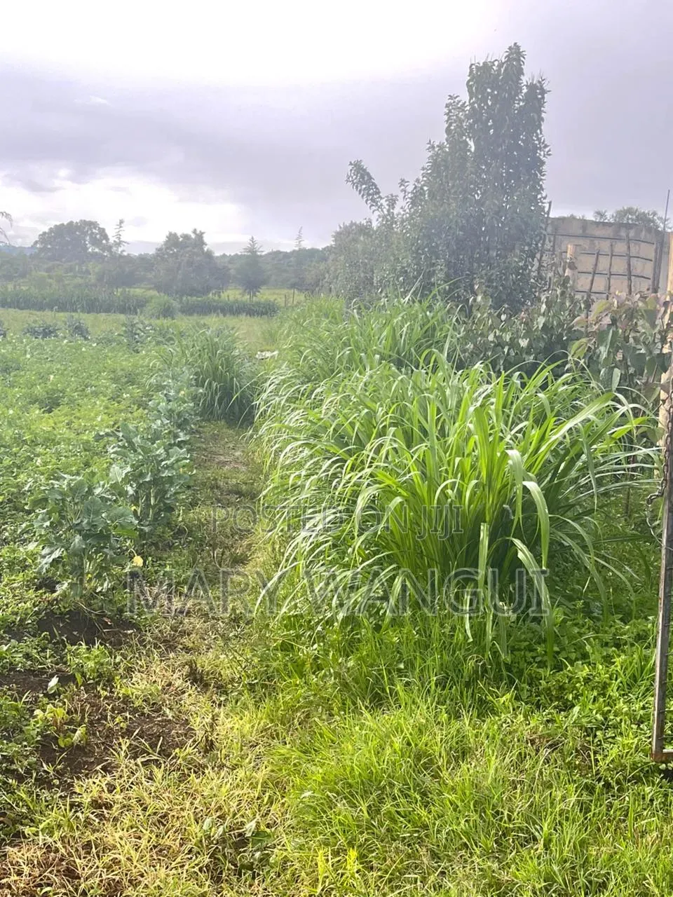Plot for Sale Next to Brooks Lodge