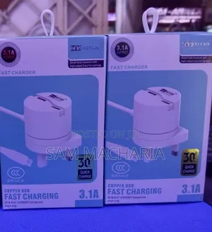 Copper 30 W Smart/Charger With Smart Chip
