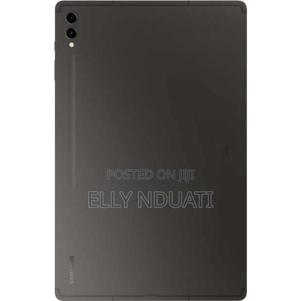 Samsung Galaxy Tab S9 Ultra 512 GB Gray