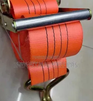 Strong 10 Tonnes 10m Straps