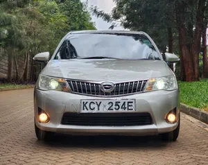 Toyota Axio 2012 Gold