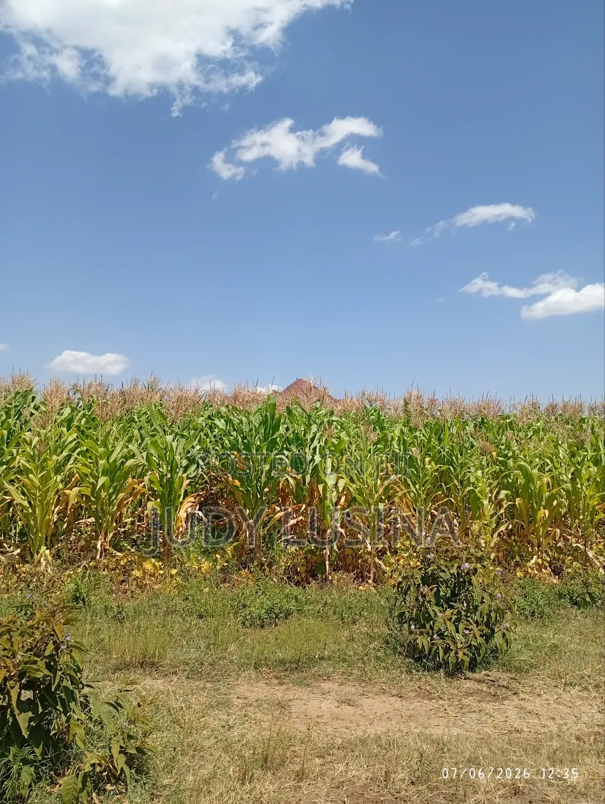 16 Plots,50*100 for Sale