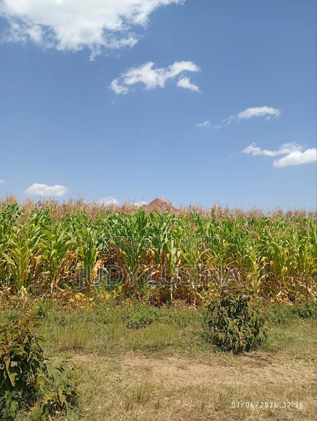 16 Plots,50*100 for Sale - thumbnail 2