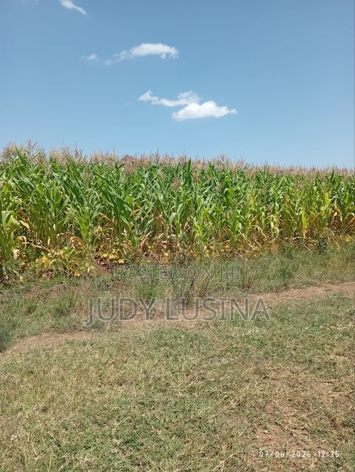 16 Plots,50*100 for Sale