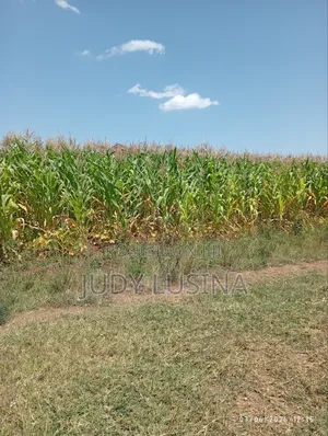 16 Plots,50*100 for Sale