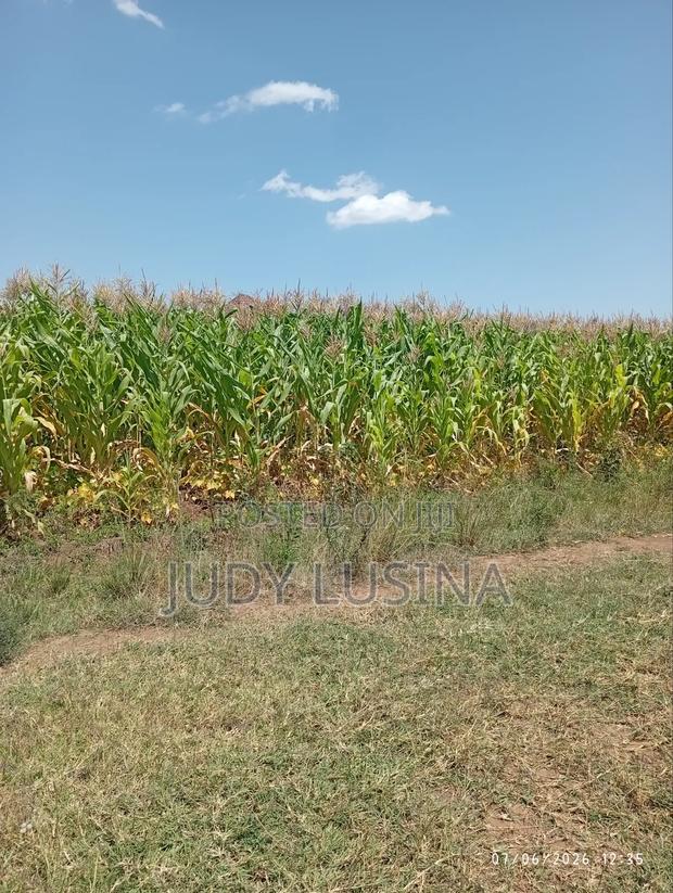 16 Plots,50*100 for Sale - thumbnail 4
