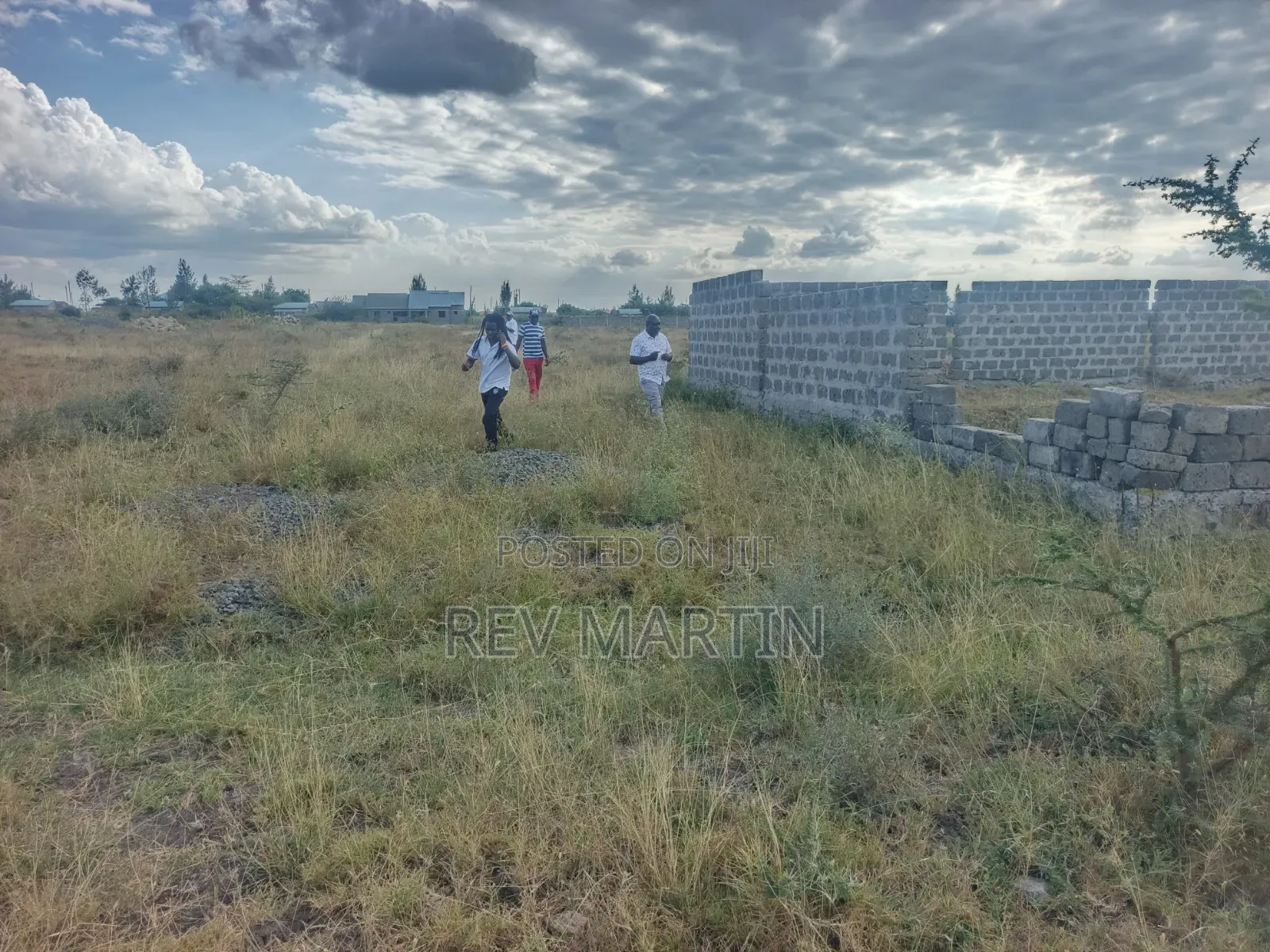 Mutalia Phase 2 Plots