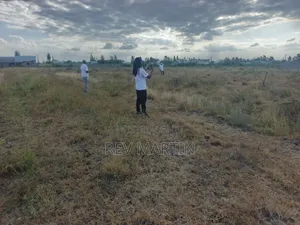 Mutalia Phase 2 Plots
