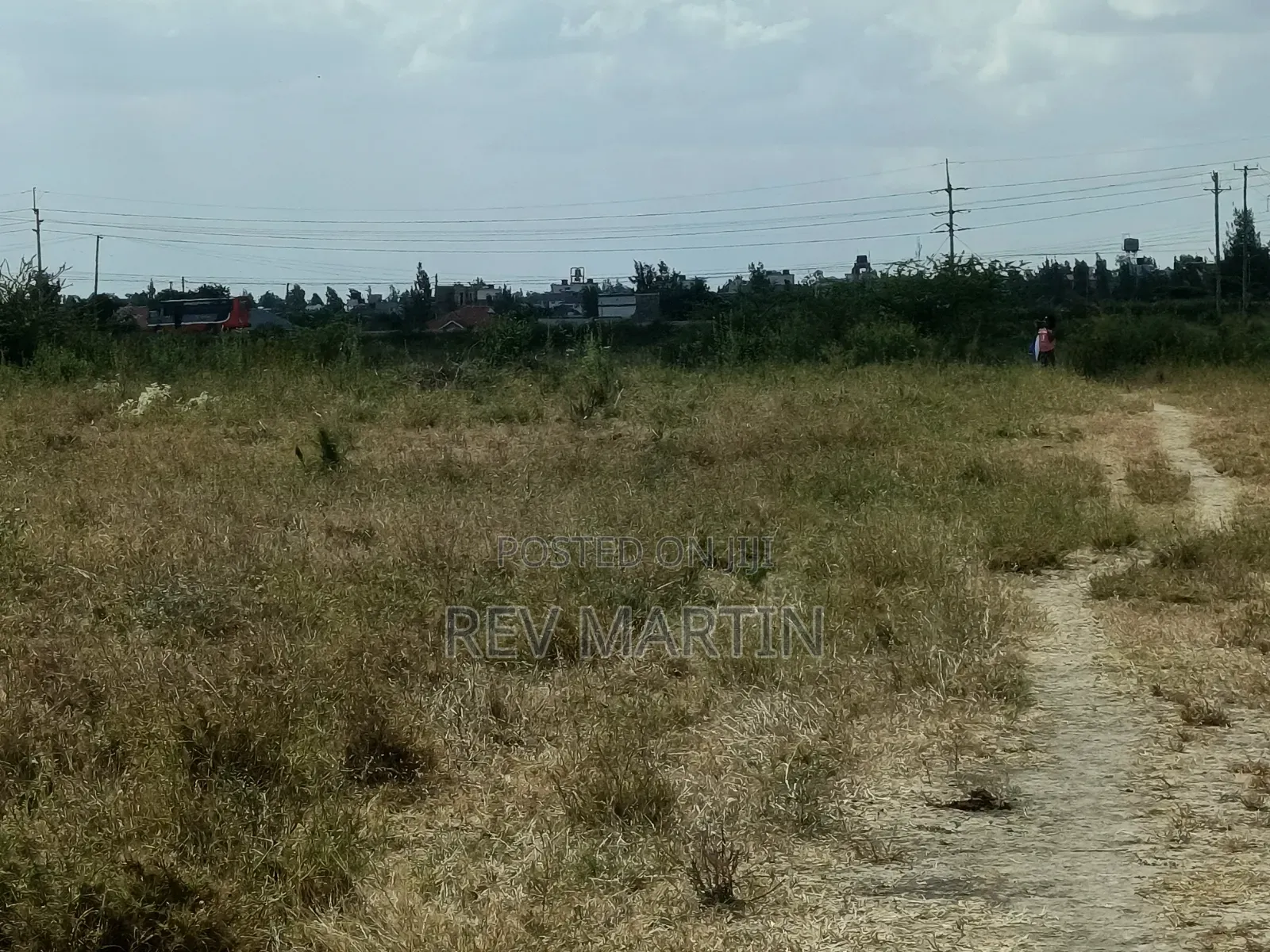 Mutalia Phase 2 Plots
