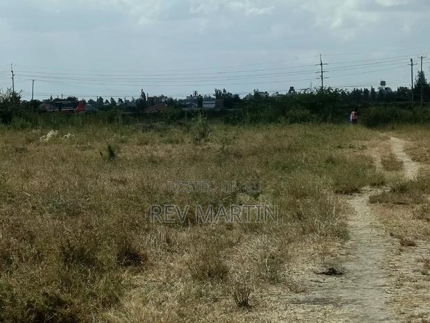 Mutalia Phase 2 Plots - thumbnail 3