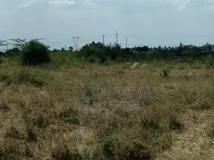 Mutalia Phase 2 Plots