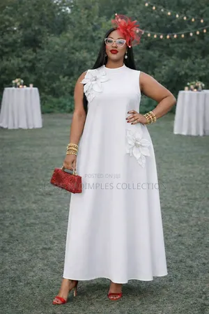 Ladies Elegant Dresses