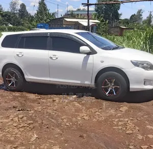 Toyota Corolla Fielder 2009 White