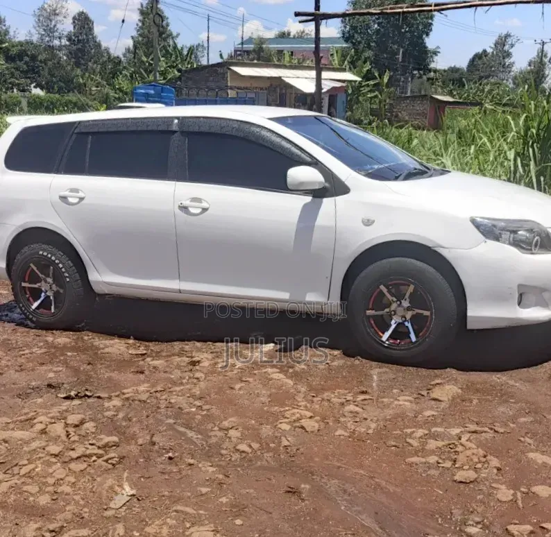 Toyota Corolla Fielder 2009 White