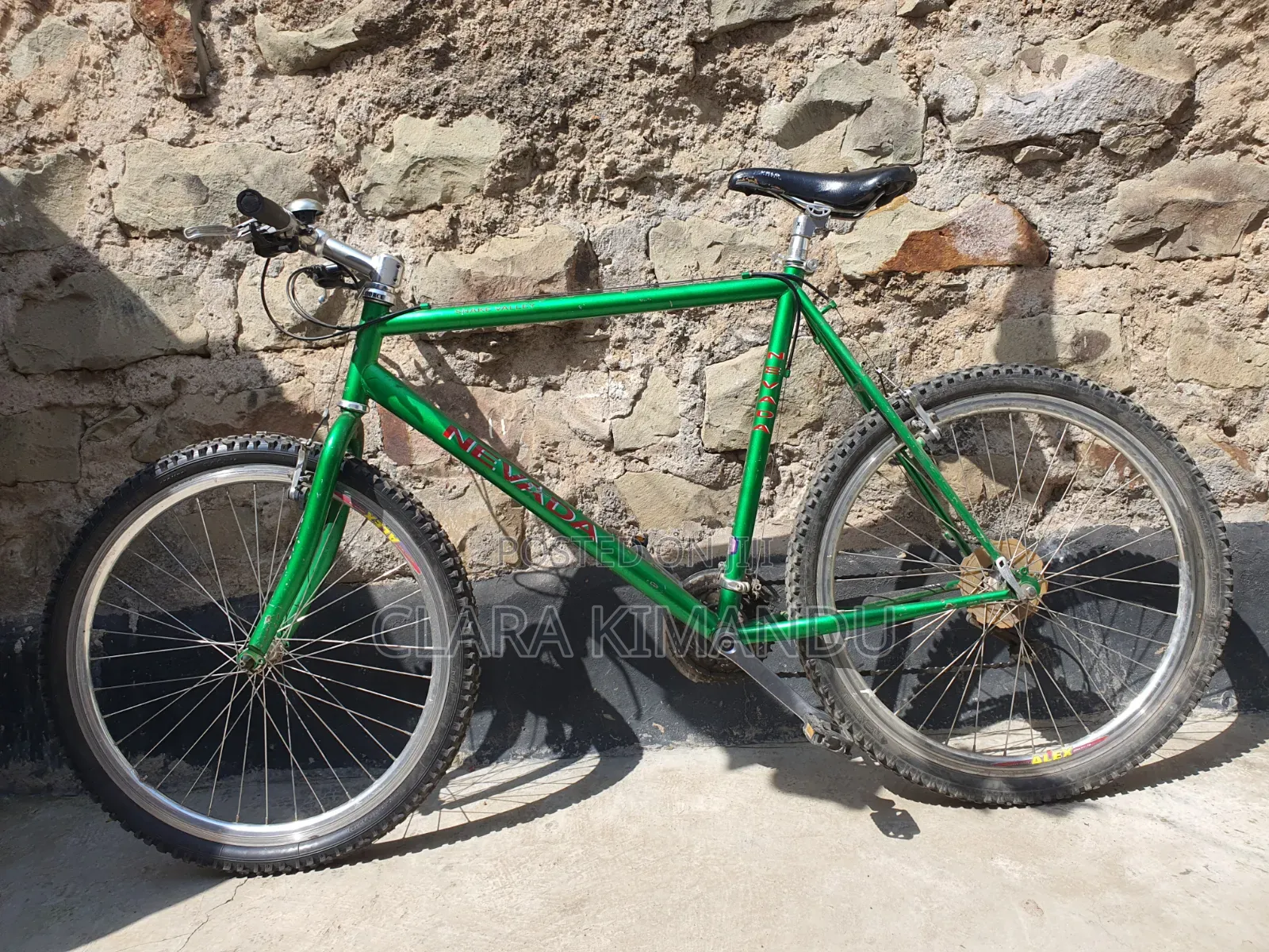 Mountain Bike (Nevada Snake Valley)