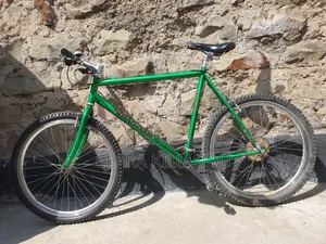 Mountain Bike (Nevada Snake Valley)