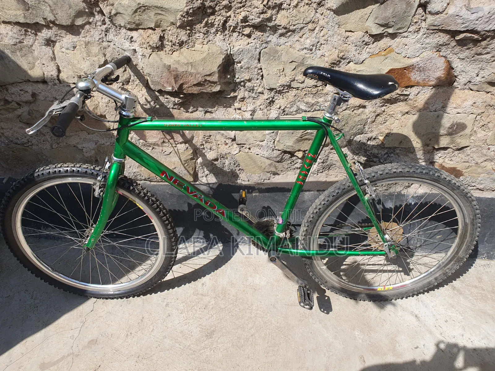 Mountain Bike (Nevada Snake Valley)