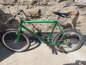 Mountain Bike (Nevada Snake Valley)