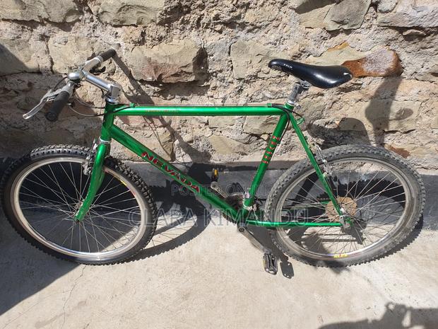 Mountain Bike (Nevada Snake Valley) - thumbnail 3