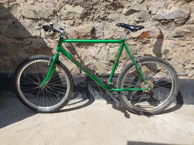 Mountain Bike (Nevada Snake Valley)