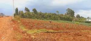 100 by 100 Prime Plot