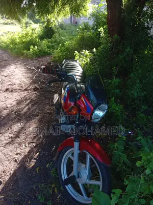 Bajaj Boxer 125 2019 Red